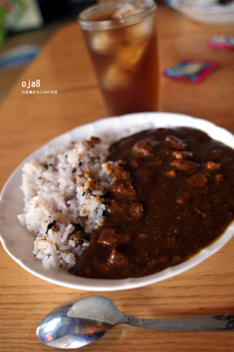 ワイルルカレー