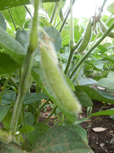 P9130012