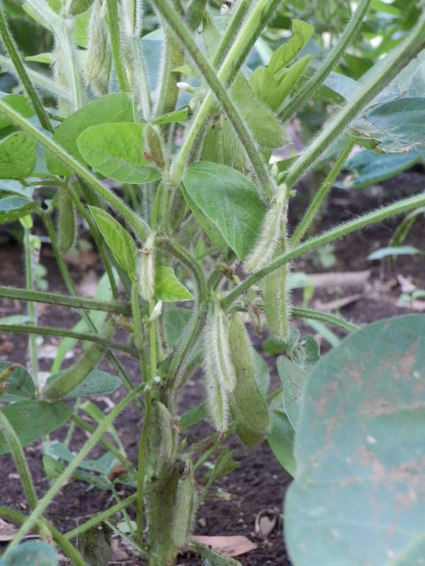 P9130011