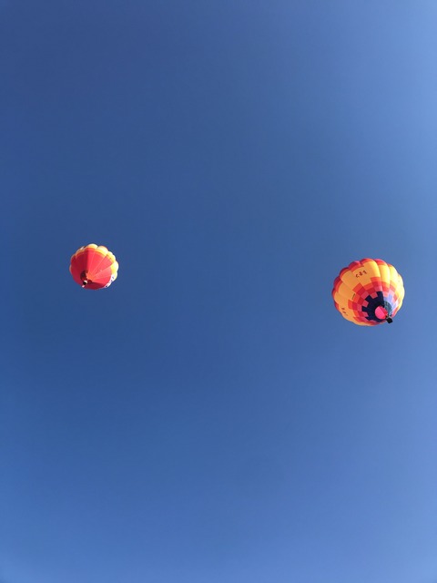 Image-2