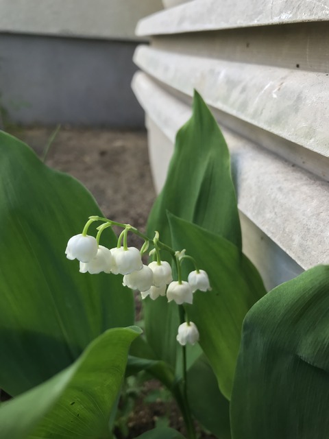 55AC0B43-6696-42BA-9785-C9521734F221