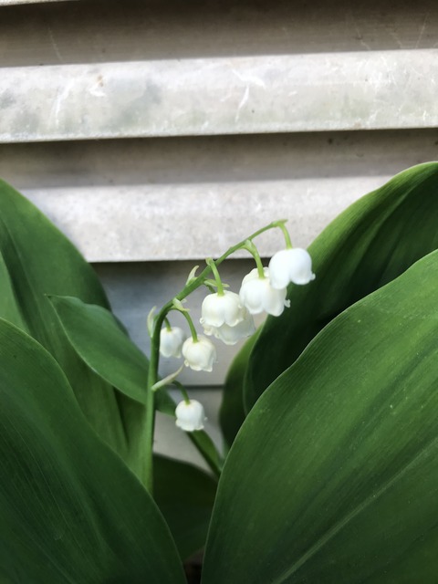 09B37184-E708-48C1-A2BB-5ECA89EEB6C5