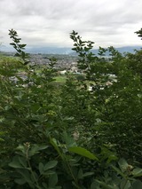 IMG_0987
