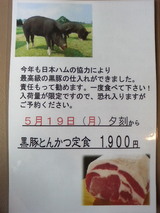 3aa86800.jpg