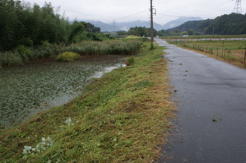 DSC05725