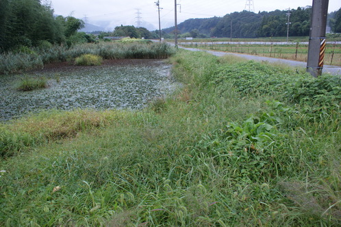 DSC05724