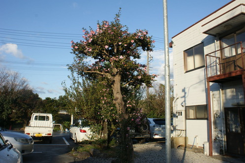 DSC07576