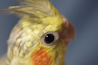 2012_pl03