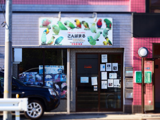 こんぱまる大阪店