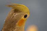 86601470.jpg