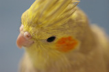ff08d263.jpg