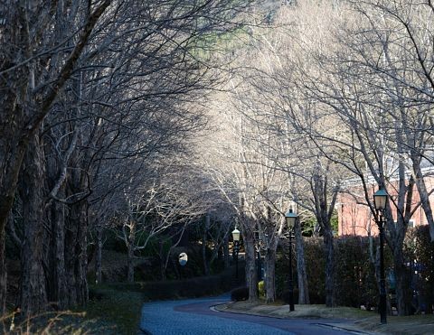 20120211_1048