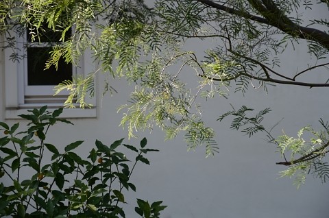 20120211_1032