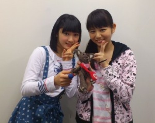 04a998bad7948d13b7a21e674ee9b8d31d05d76b.11.2.2.2