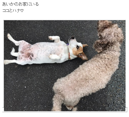 キャプチャ