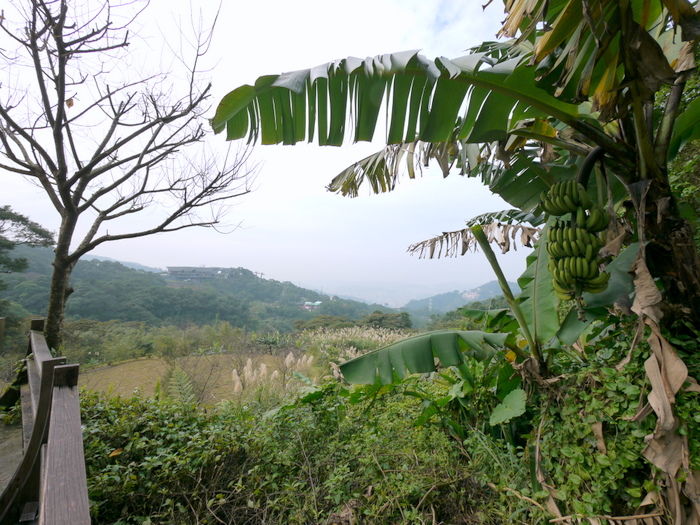 P1100457