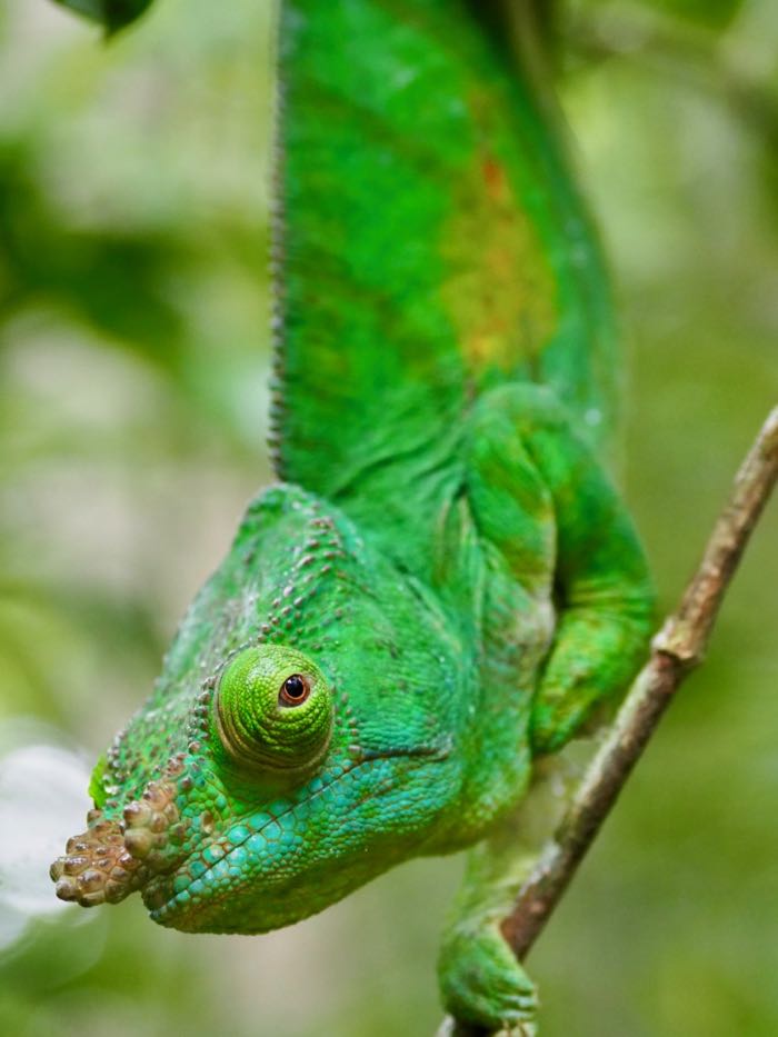P9055621