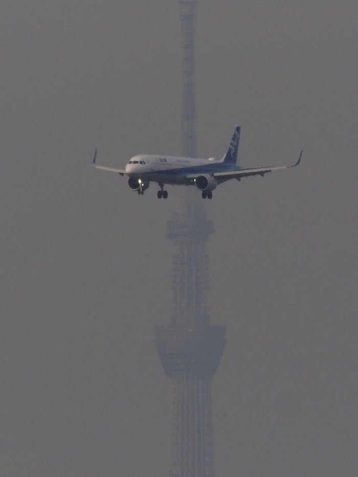 P2030259