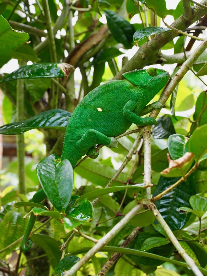 P9089037