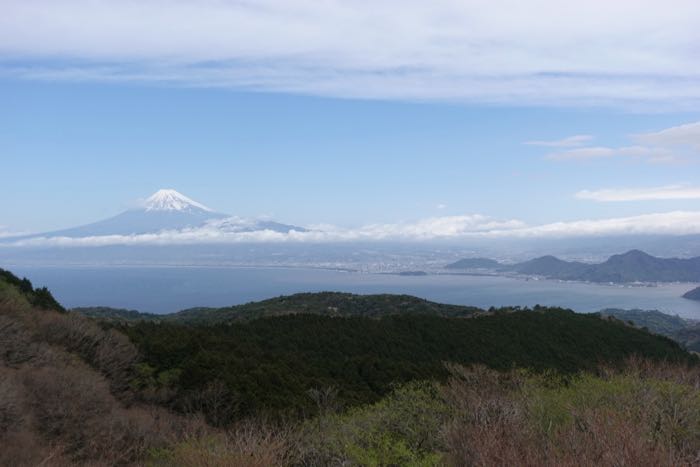 DSC08124
