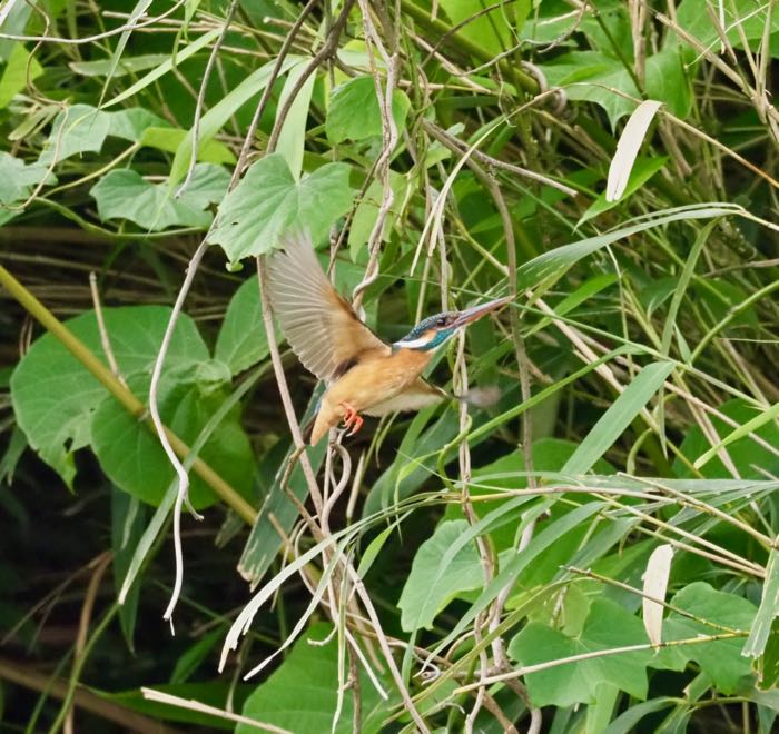 P5290630