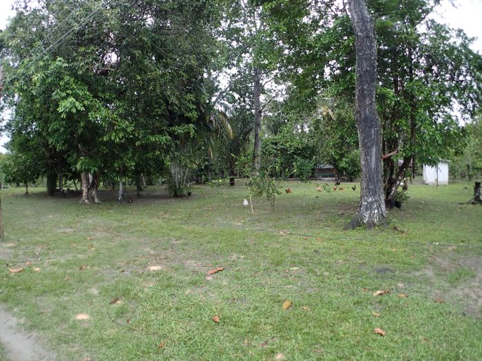 P9170167