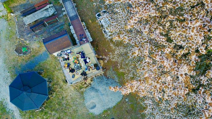 DJI_0032