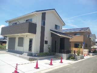 07825013.jpg
