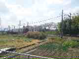 0e76d873.jpg