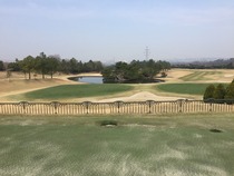 137db9a4.jpg