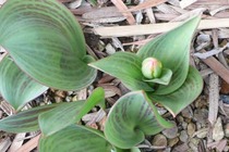 03-5