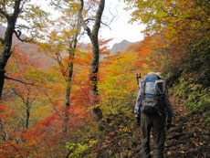 ⑨登山道 3