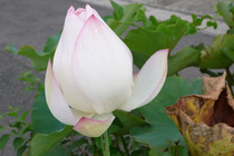 P1040728
