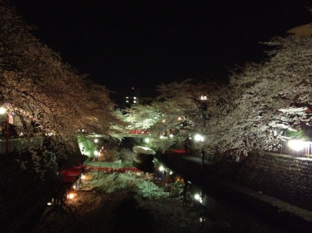 夜桜