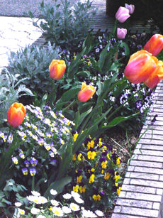 04-1jpg