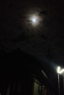 __ (5)
