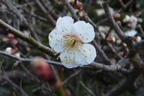 03-2