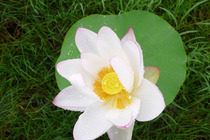 P1040732
