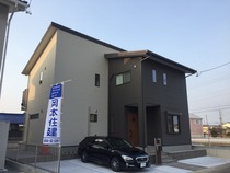 3794c499.jpg