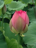 3d621217.jpg