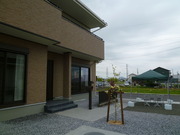 40157465.jpg