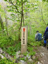 ③-2 青粘登山道