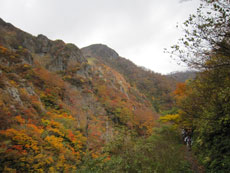 ⑫登山道 4
