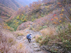 ⑰登山道 6