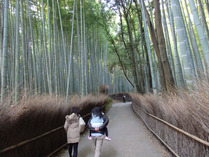 ③天龍寺・北側の竹林
