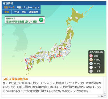 花粉情報