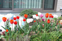 04-2