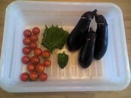 夏野菜