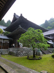 永平寺 3