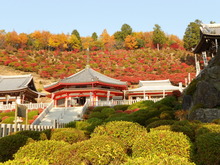 DSCN0035